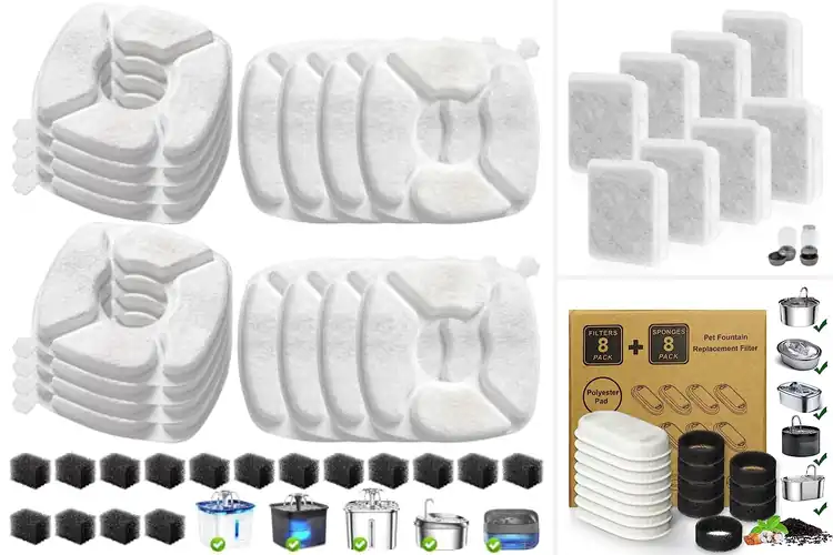 Detailed view of Best Water Filters for Pets